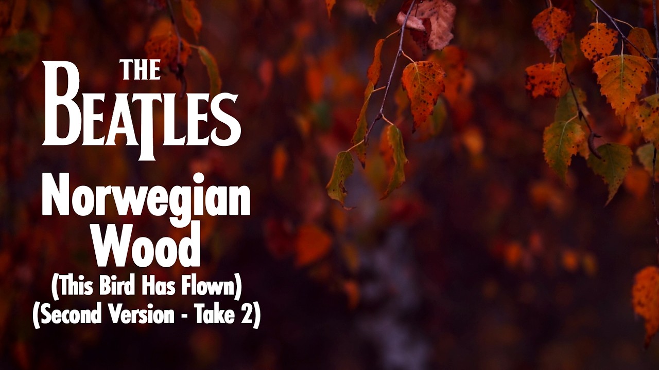 Norwegian Wood (This Bird Has Flown) (Second version - Take 2) (Visualiser)