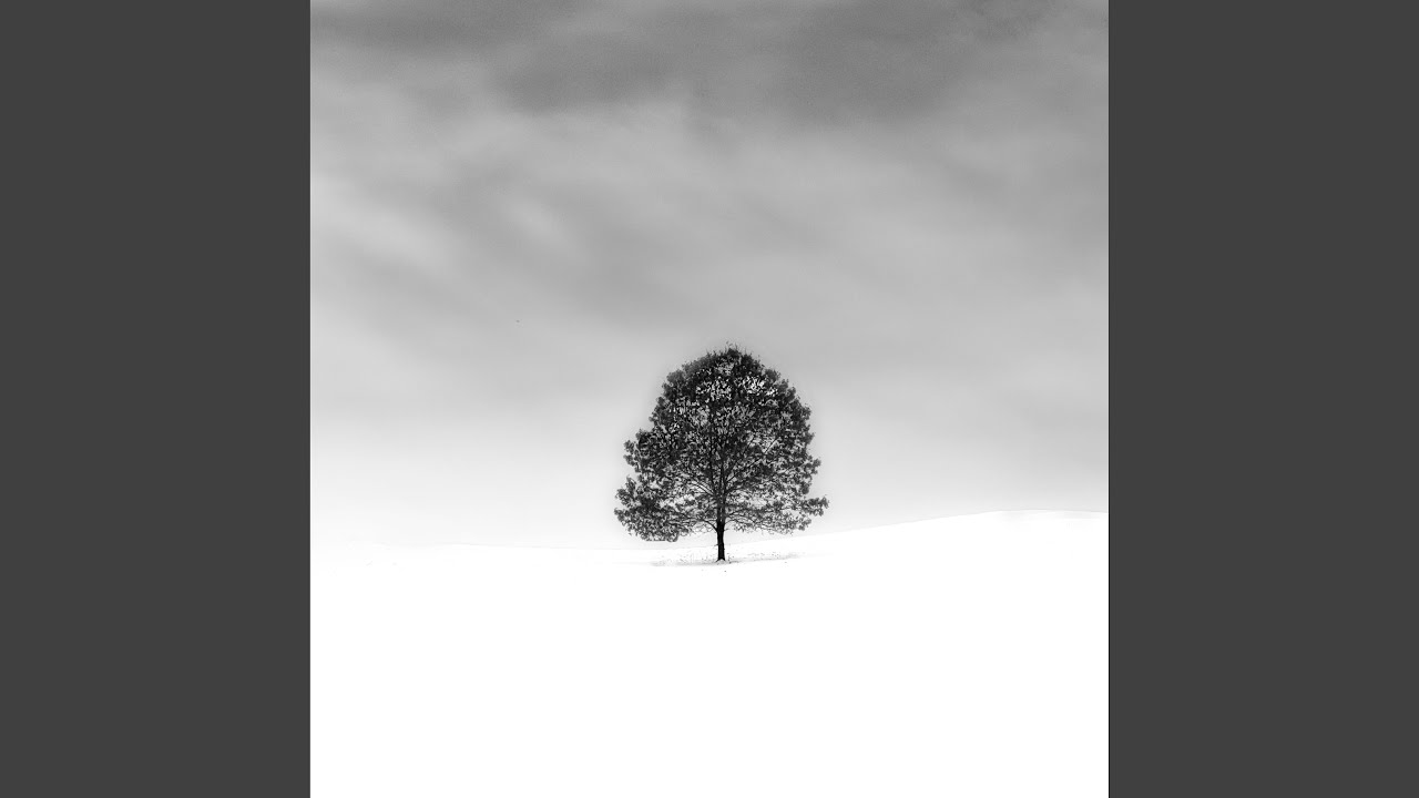 Succession