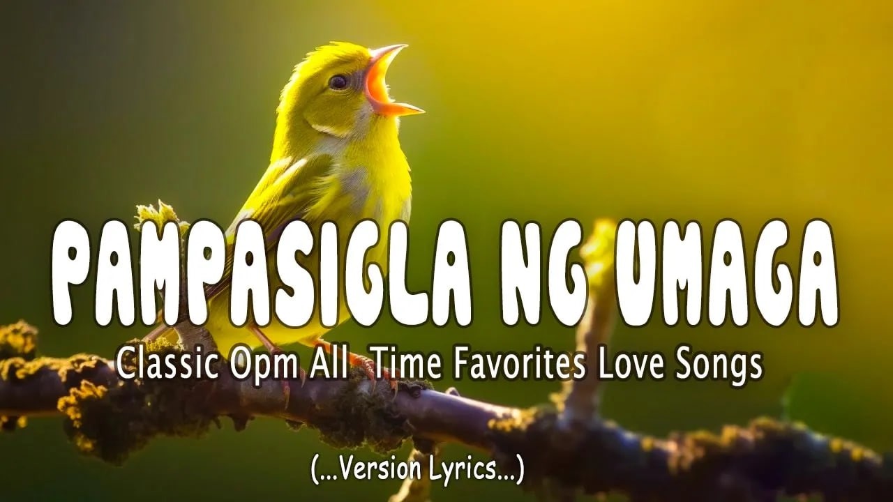 Pampasigla ng Umaga ☀️ 80s & 90s OPM Love Songs | Best of Pinoy Morning Classics