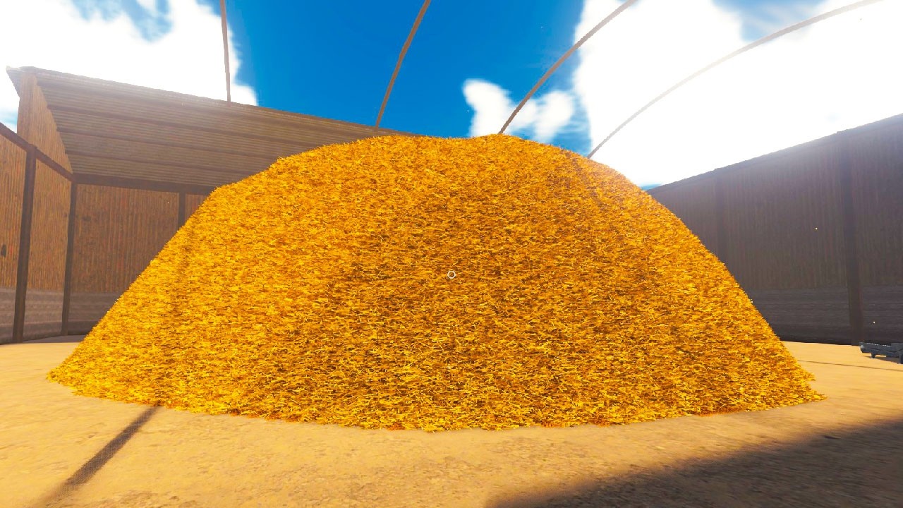 Literally Finding A Needle In A Haystack
