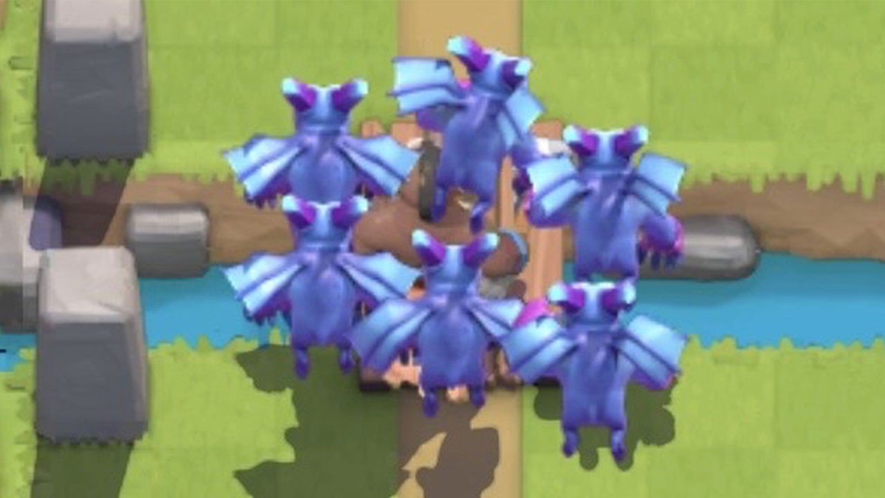 sneaky hog