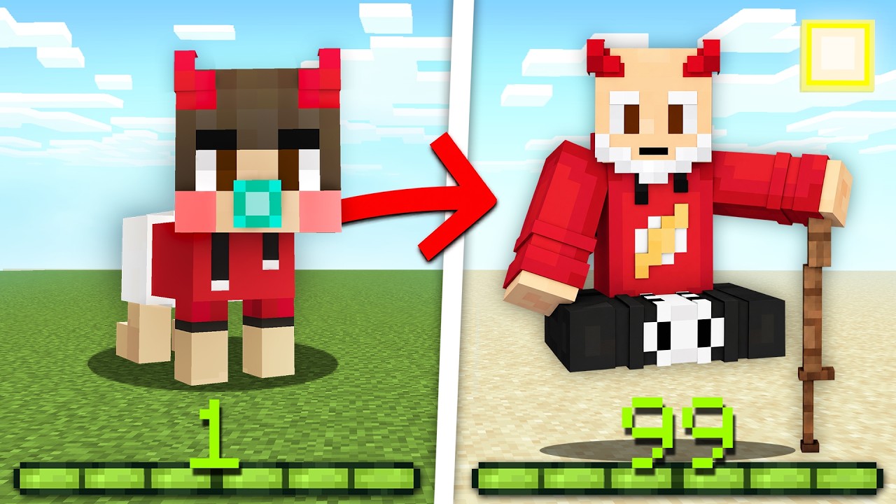 Minecraft But Your XP = Your AGE!